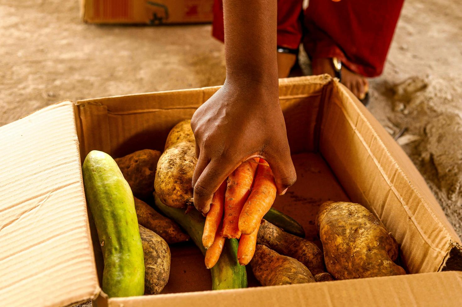 Vegetables in a box