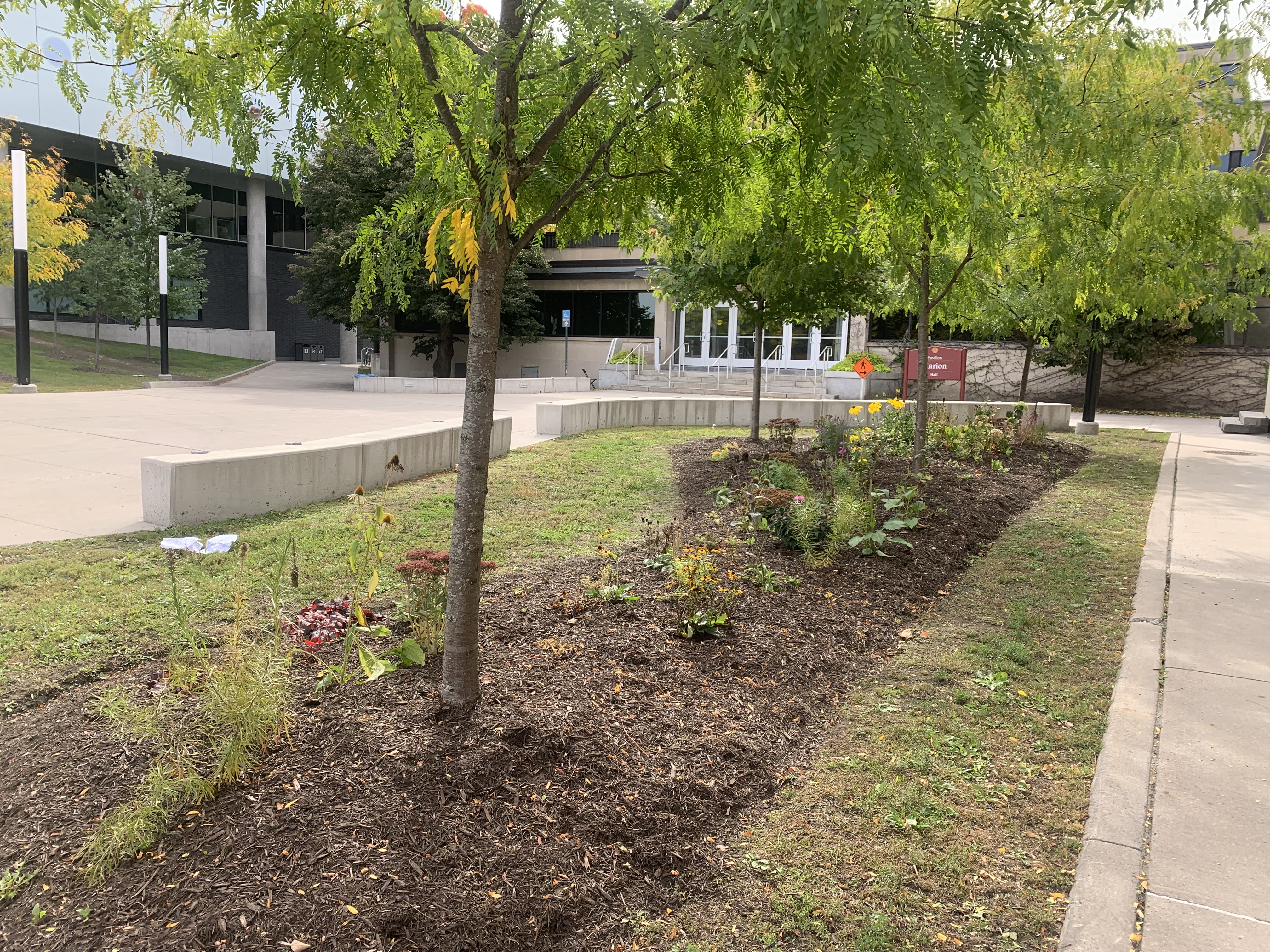 Marion pollinator garden