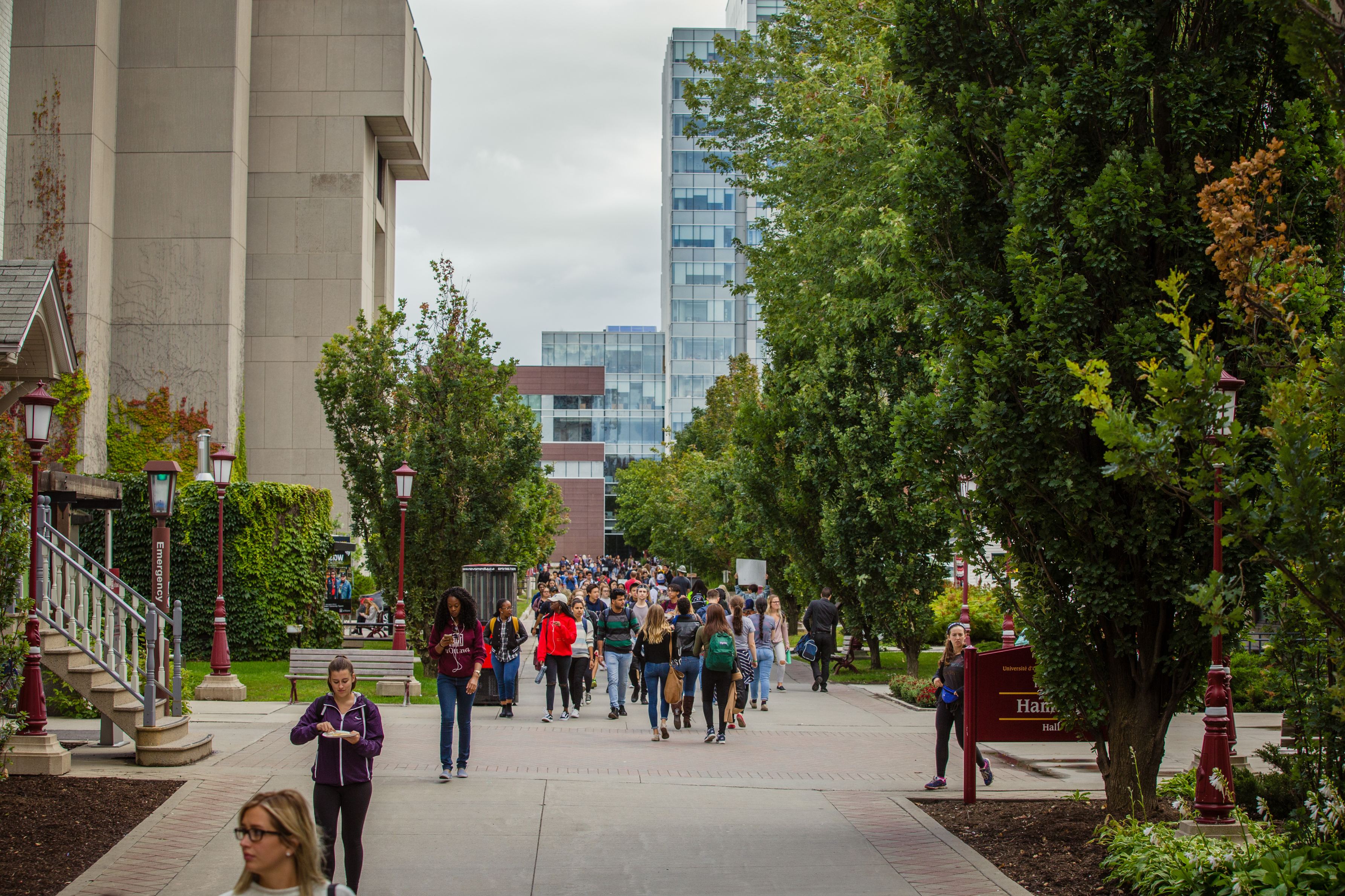 Piétons sur le campus