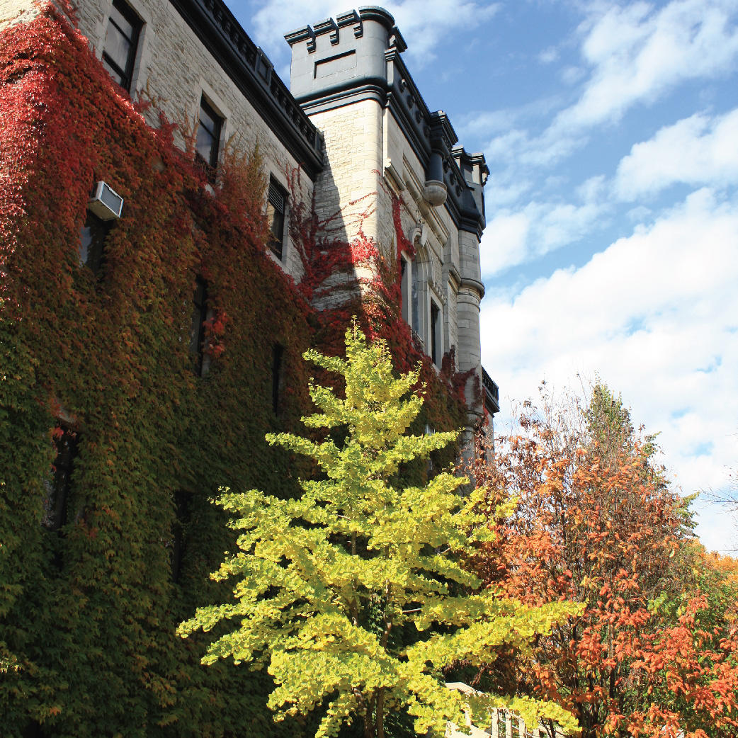 Sur le campus, édifice du 100, avenue Laurier, où l’on peut voir du lierre rouge et des arbres en façade