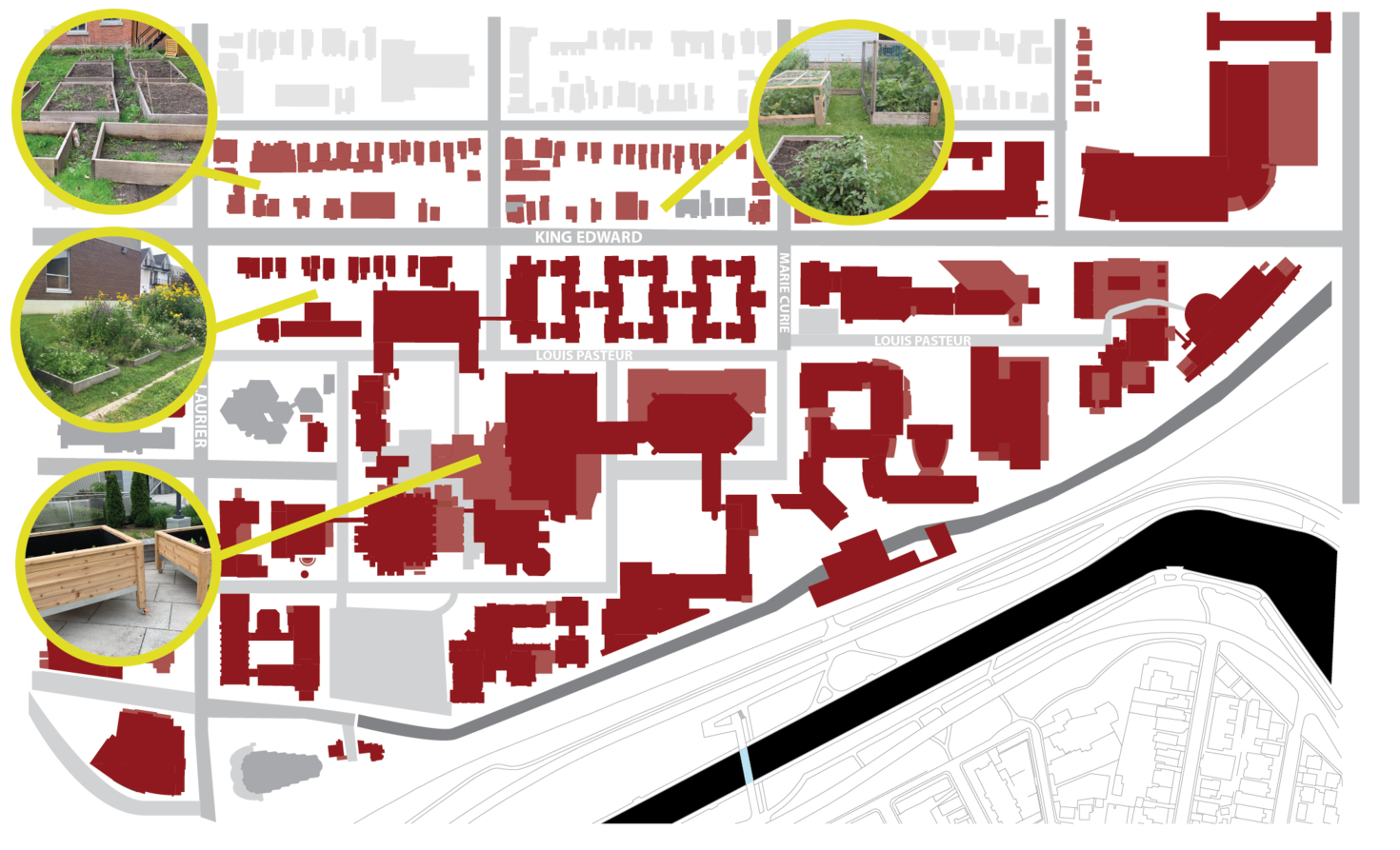 Carte du campus indiquant quatre jardins communautaires