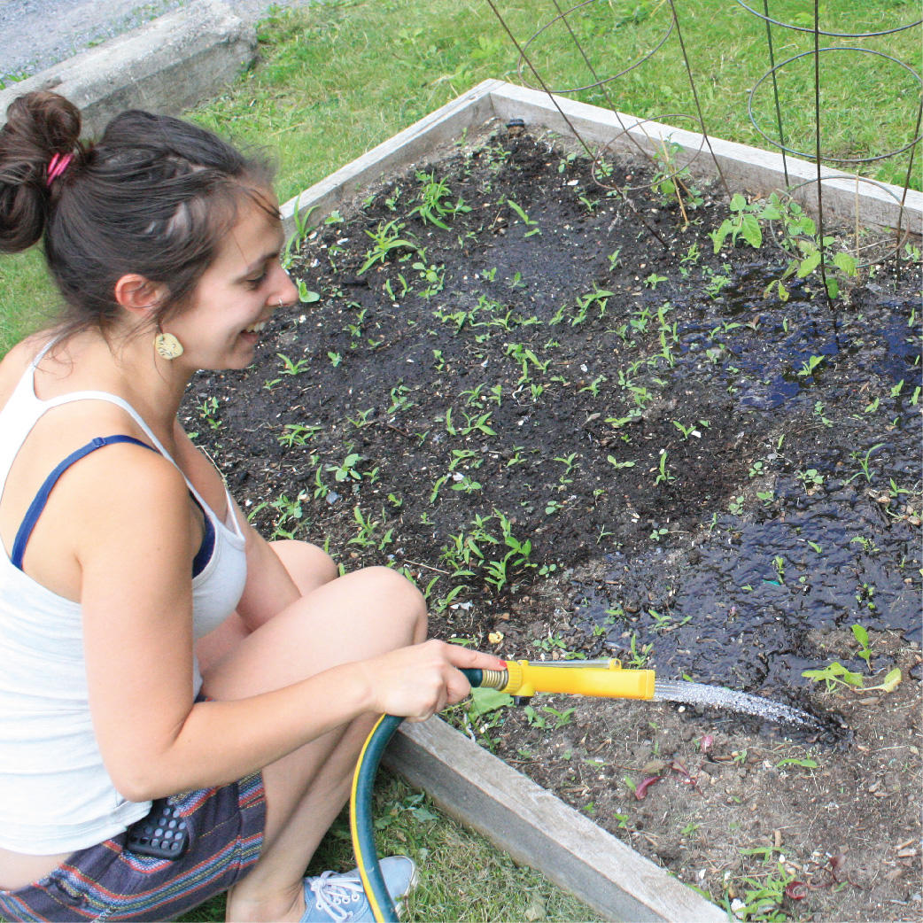 Étudiante en train d’arroser une parcelle de jardin à l’Université d’Ottawa