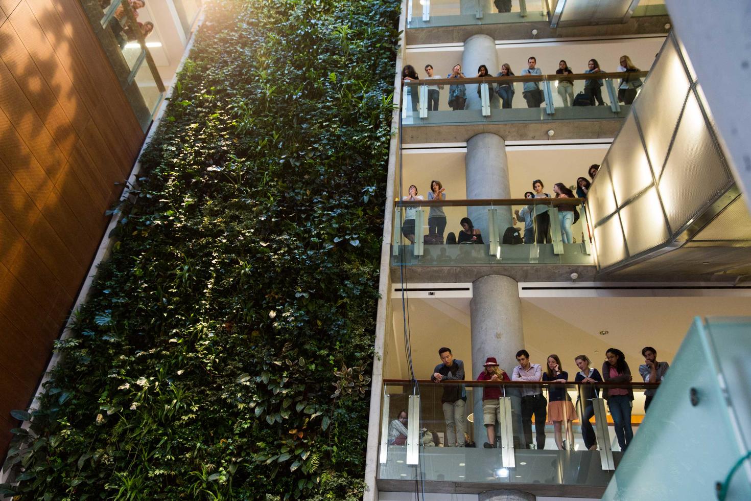 Mur végétalisé à la Faculté des sciences sociales, avec des étudiantes et étudiants de part et d’autre