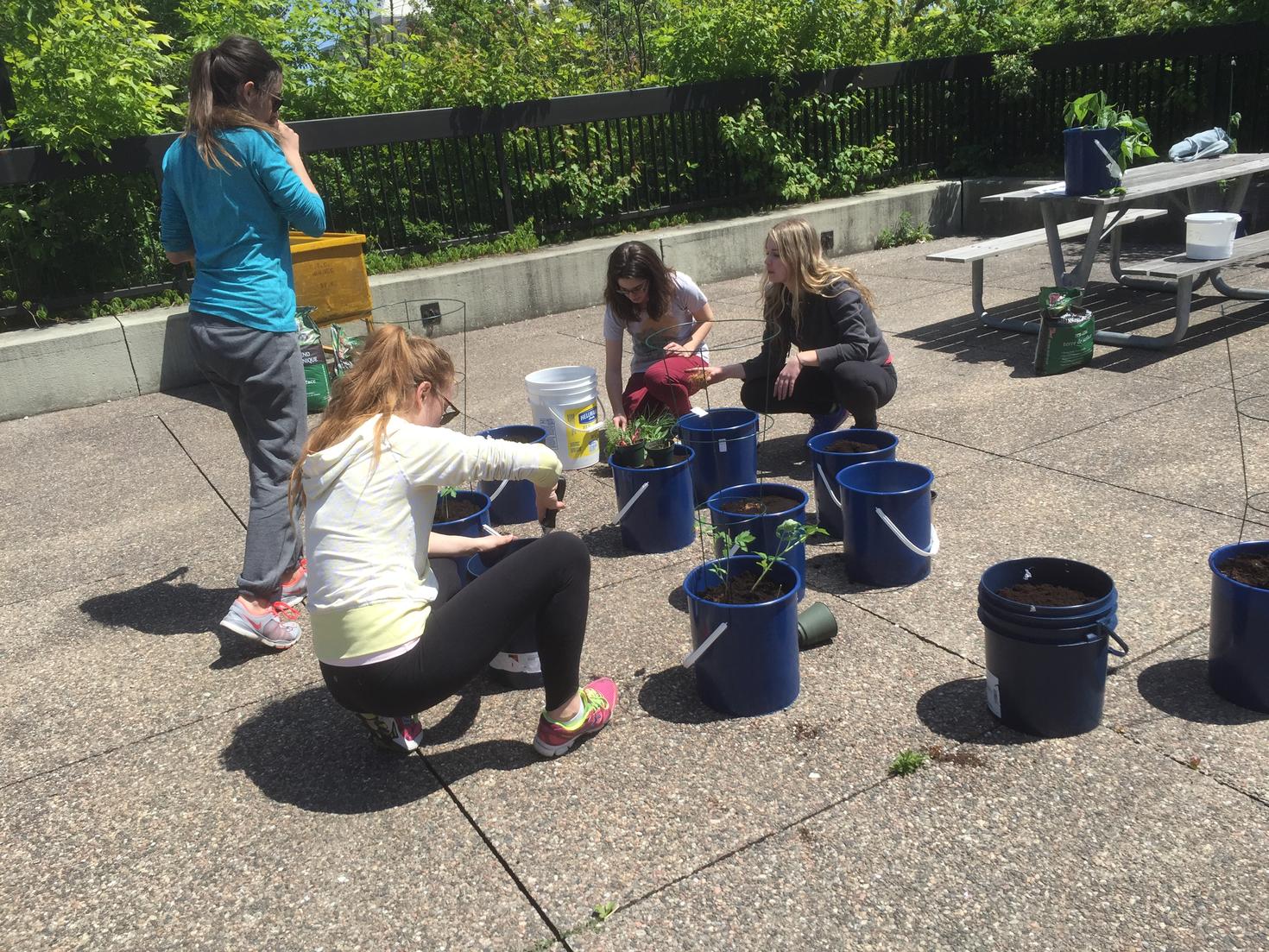 Étudiantes empotant des plantes sur le campus