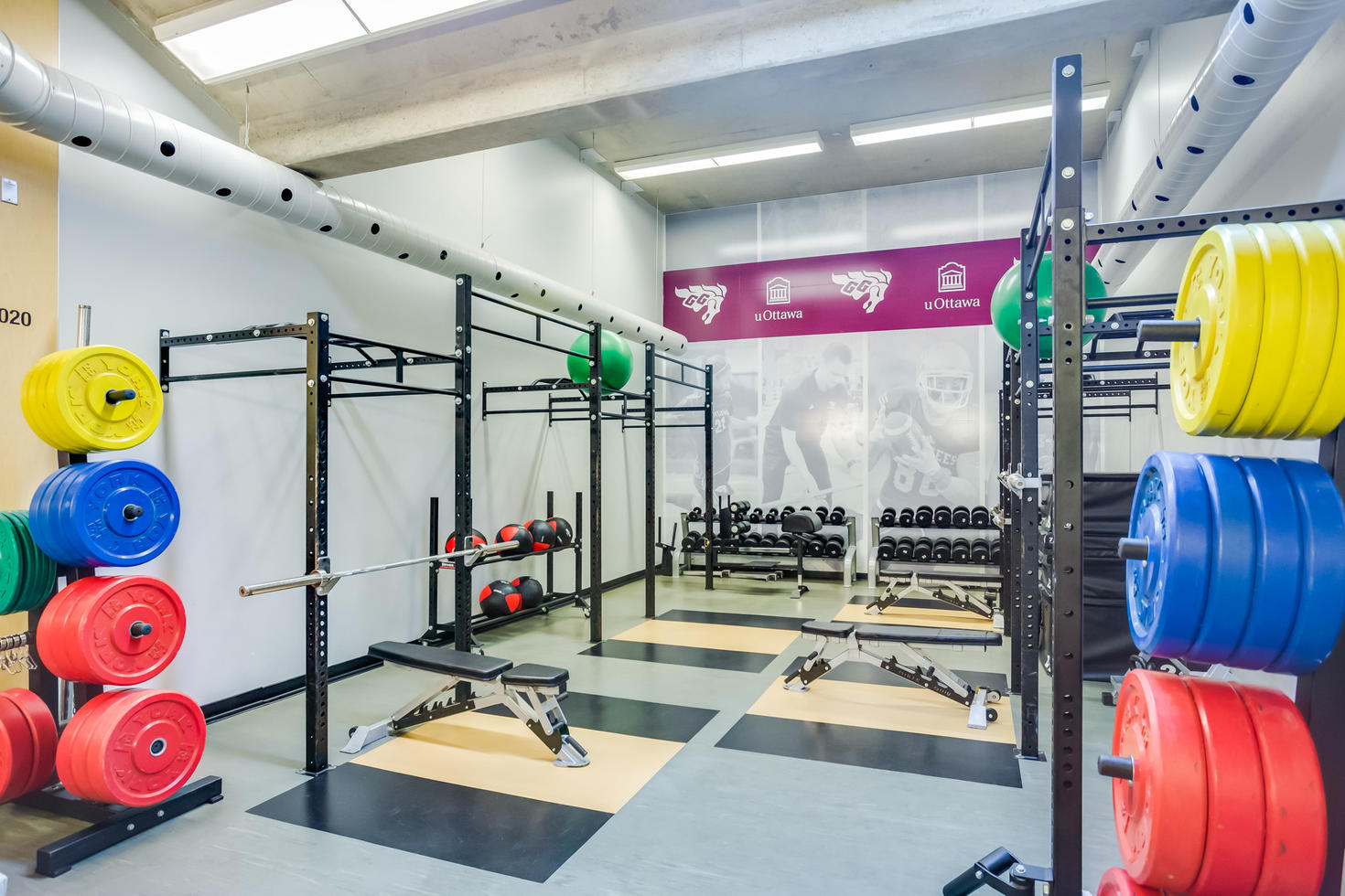 Des poids dans un gymnase.