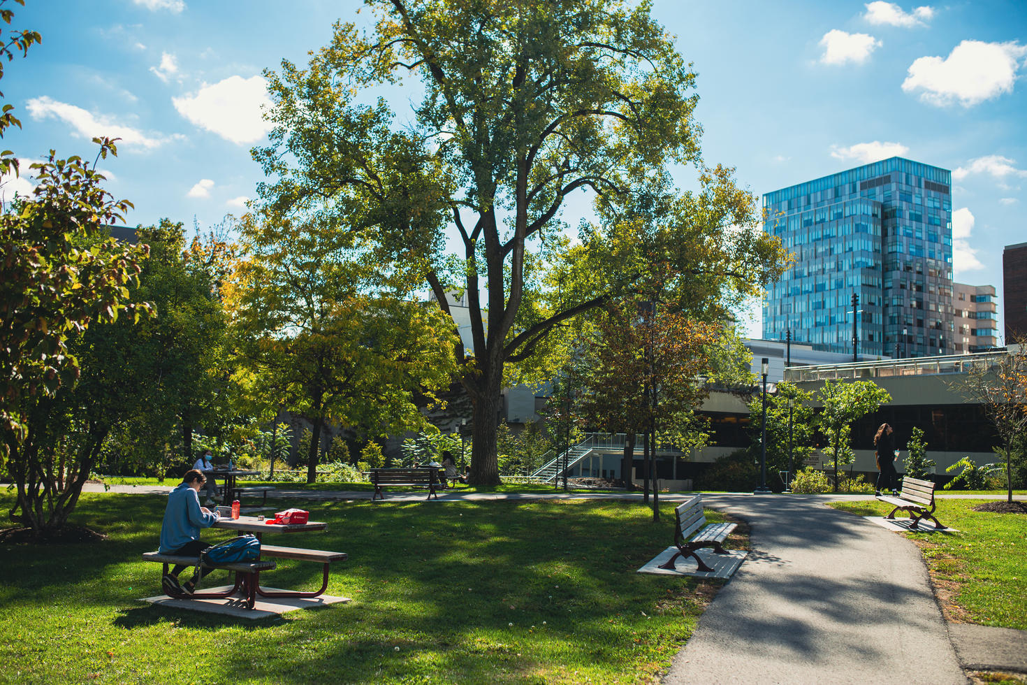Espace vert sur le campus