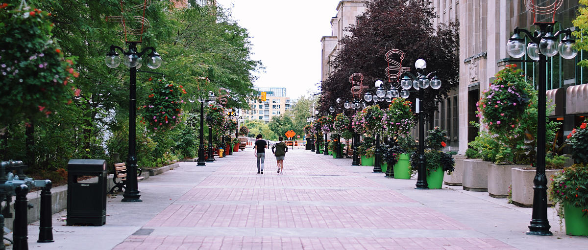 Une esplanade ouverte entourée d'arbres à Ottawa