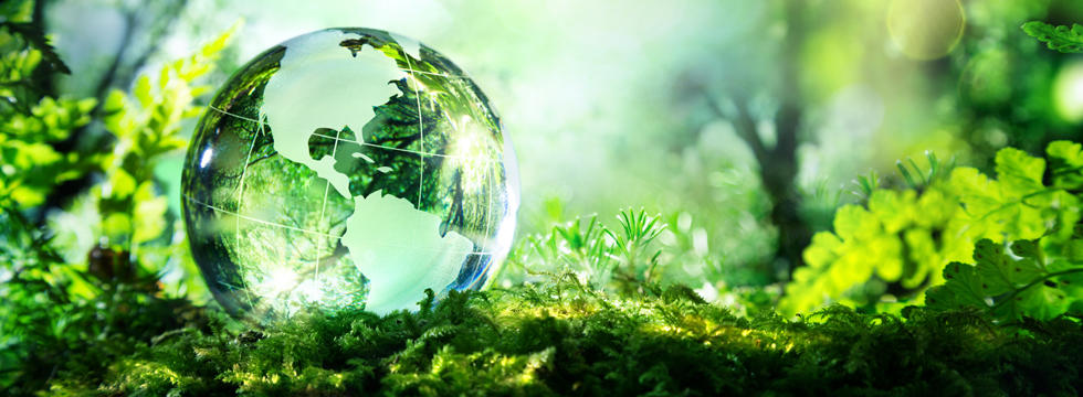 Un globe en verre de la planète posé dans un champ vert