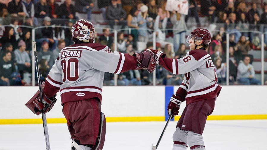 Joueurs de hockey