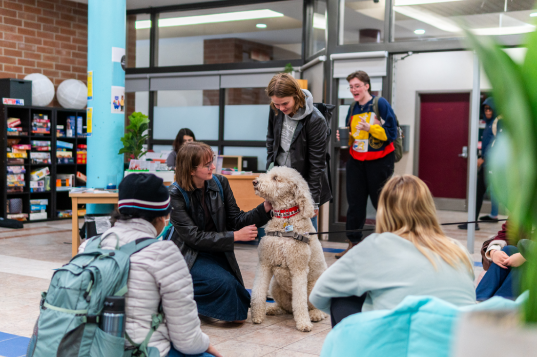 Chien de thérapie et les étudiants