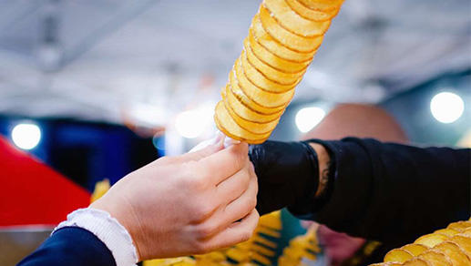Spring chips