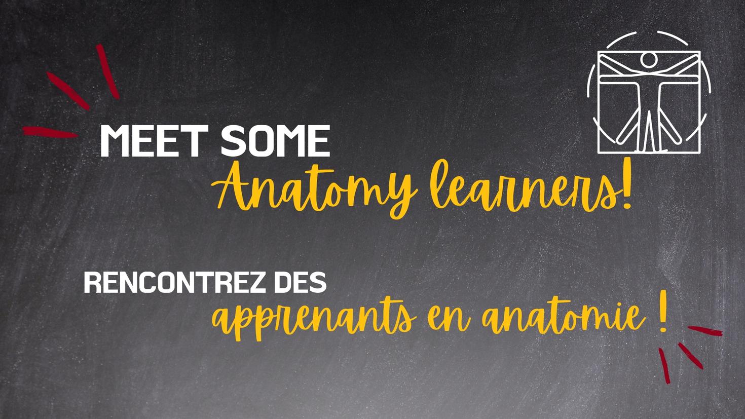 Bannière anatomie