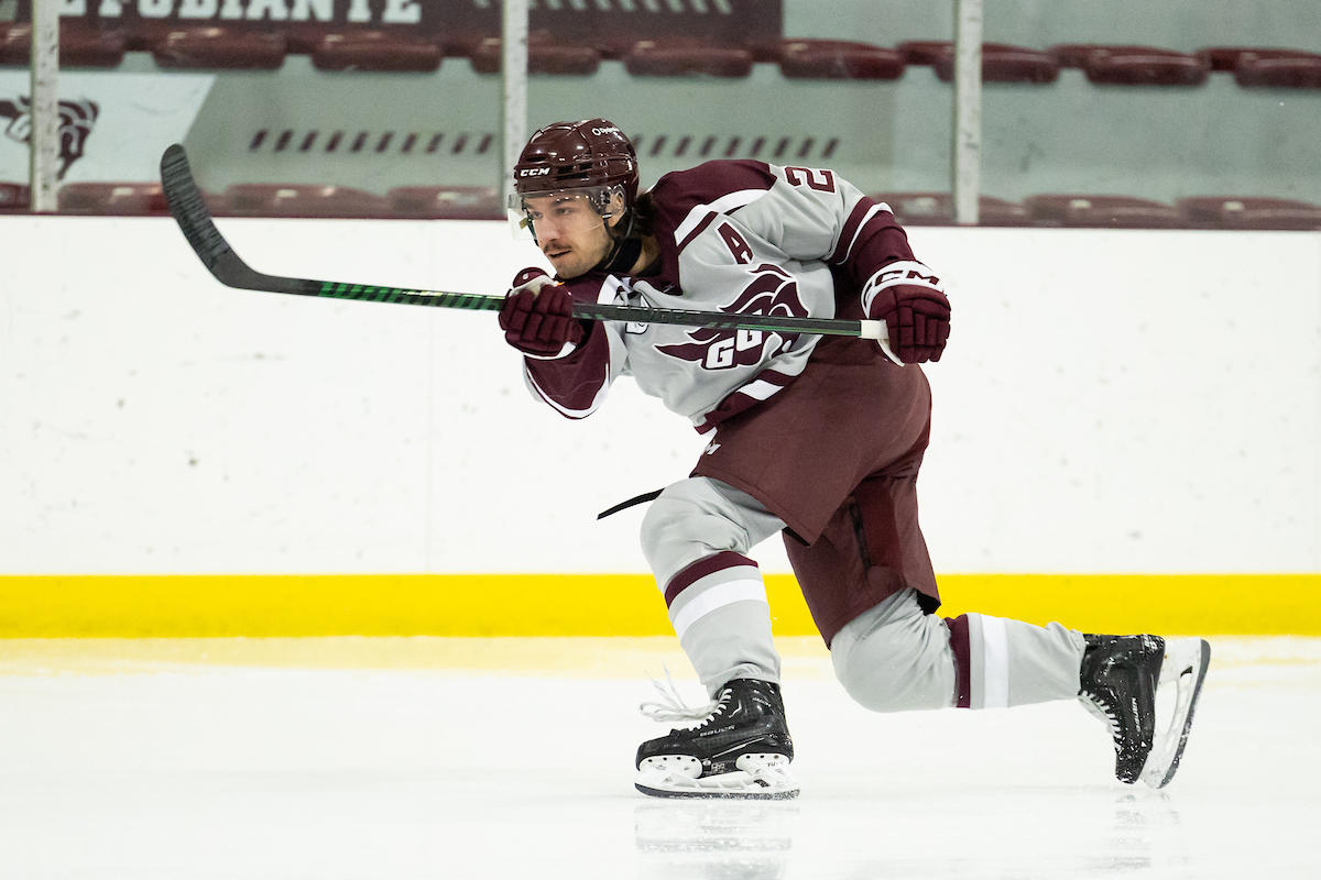 hockey
