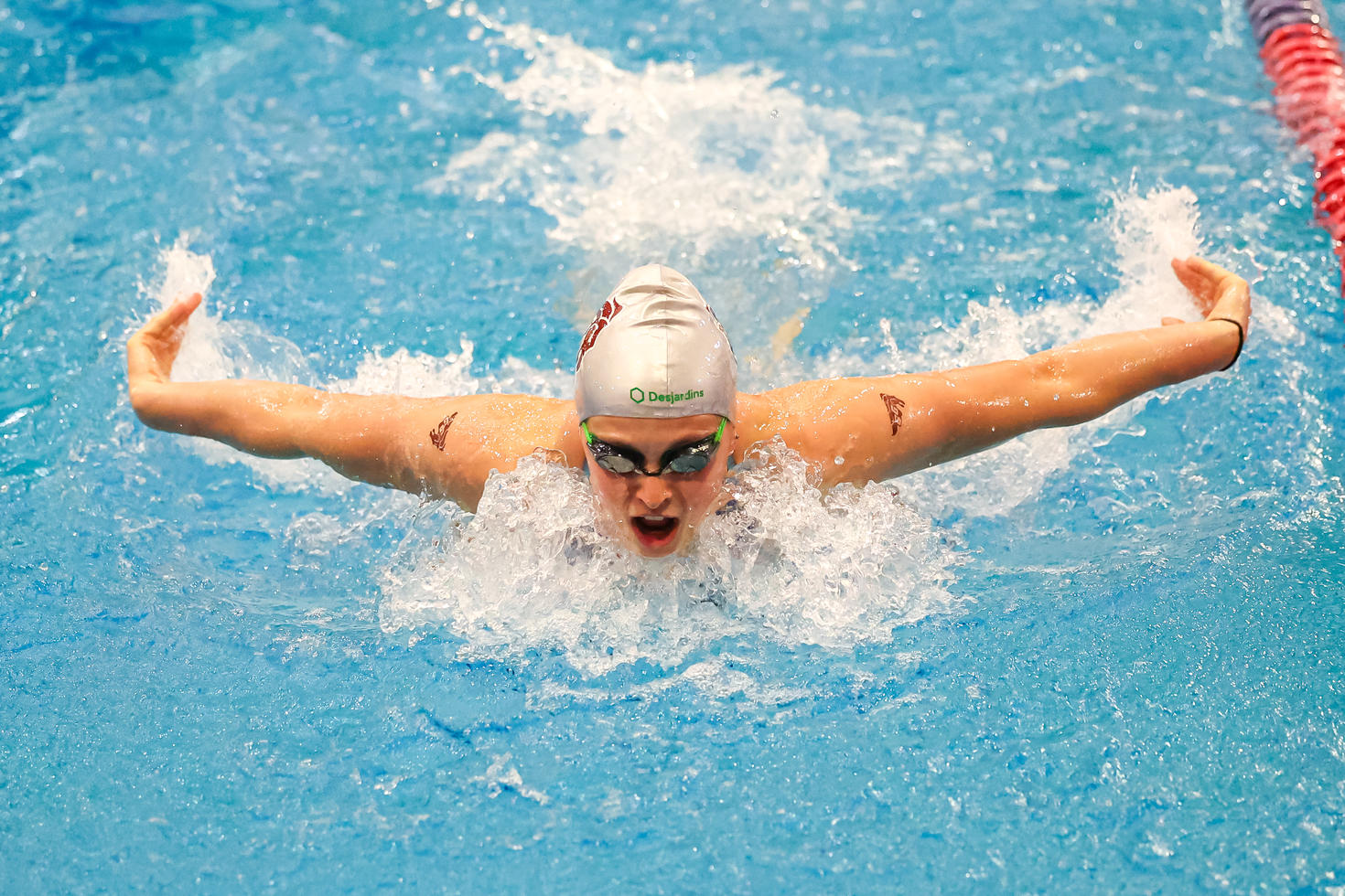 Natation des Gee-Gees