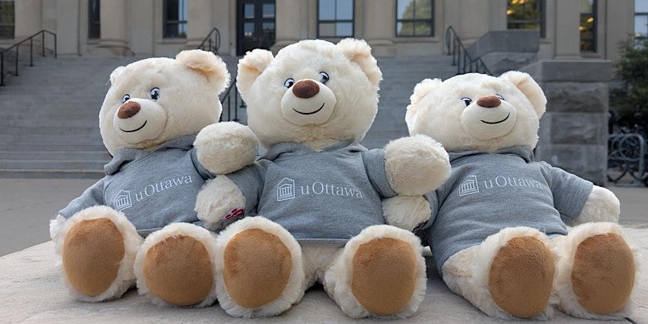 Ours en peluche