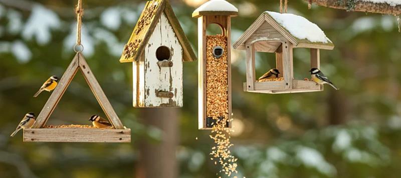 Plusieurs nichoirs et mangeoires faits à la main suspendus à une branche dans une forêt enneigée, avec des oiseaux en train de se nourrir