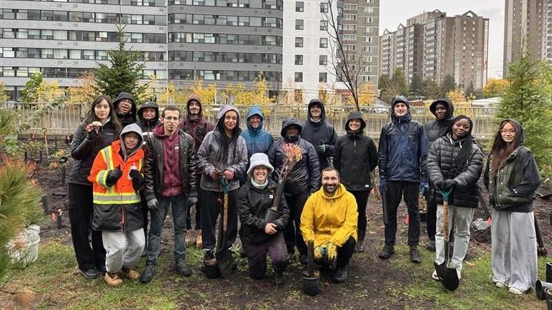 Groupe de plantation